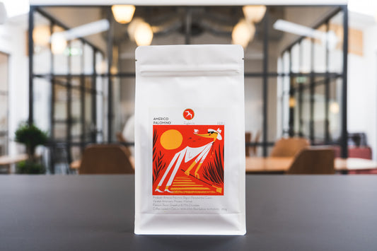 Americo Palomino / Washed / Peru 250g