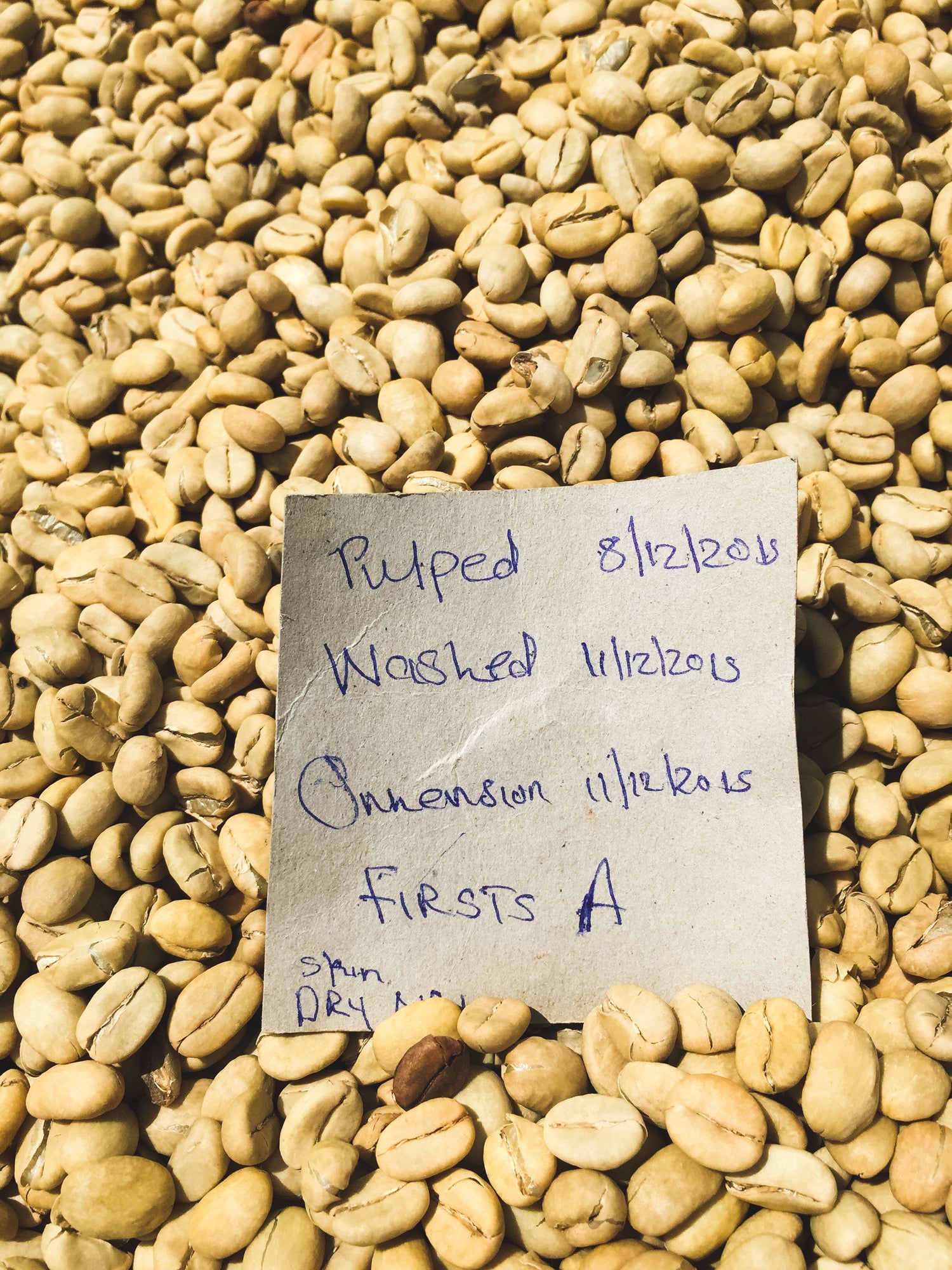 Gakuyu-ini / Washed / Kenya / 250g