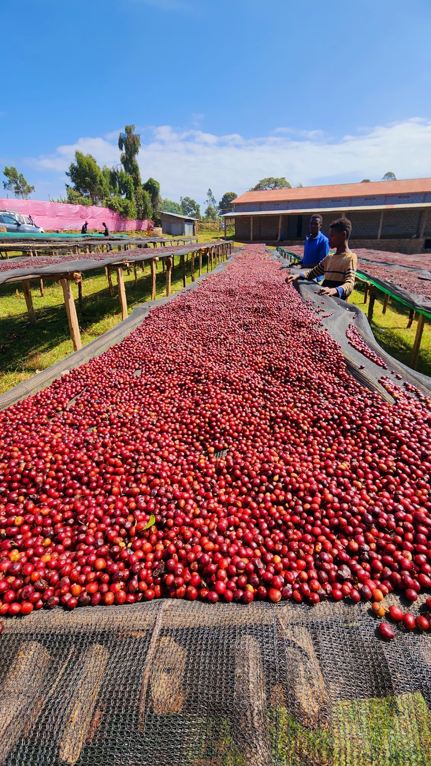 Chelchele Espresso / Natural / Ethiopia