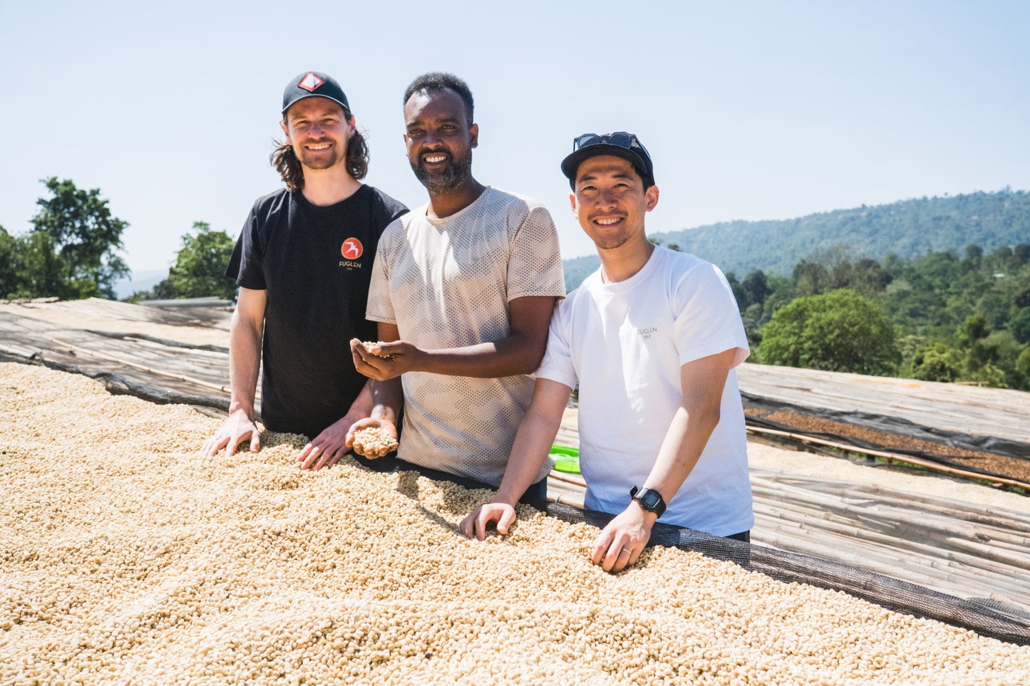 Danche / Natural / Ethiopia / 250g
